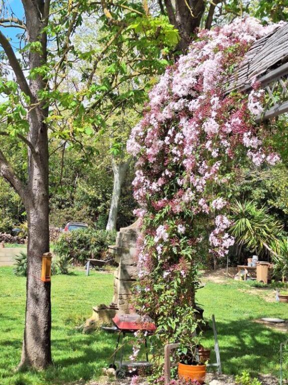 Domaine De Capoulade Bed & Breakfast Narbonne Luaran gambar